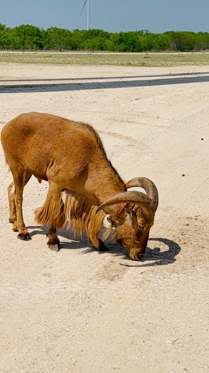 WhatsApp Image 2025-10-05 at 8.44.12 PM