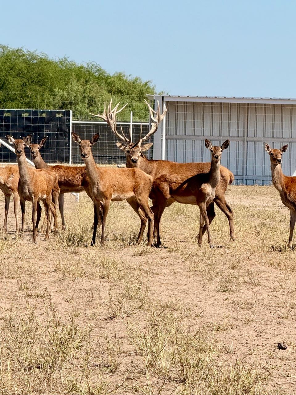 WhatsApp Image 2025-10-05 at 8.46.35 PM